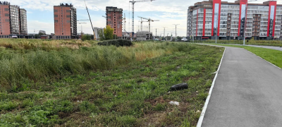 Глава Хакасии поддержал абаканцев, выступающих против коммерческой застройки района "Арбан"