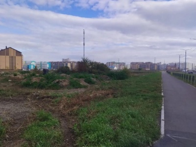 Активисты в Абакане добились отмены коммерческой застройки территории, где им обещали детский сад